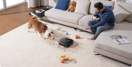 Vacuum cleaner for pet hair collecting dog fur from carpet